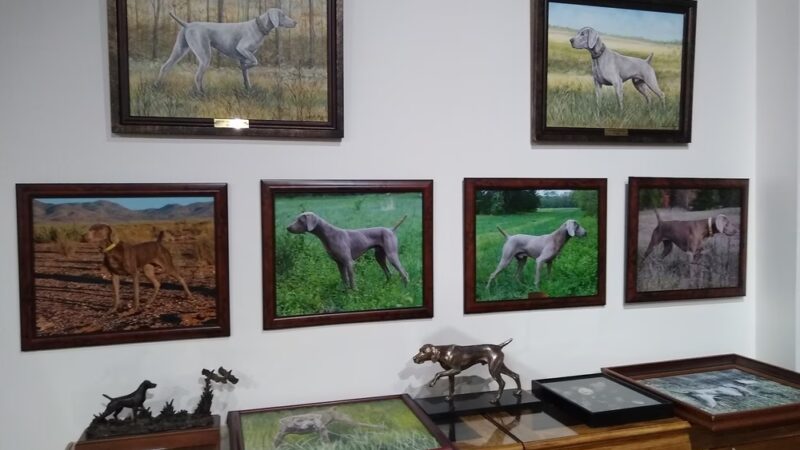 National Bird Dog Museum - Grand Junction, TN