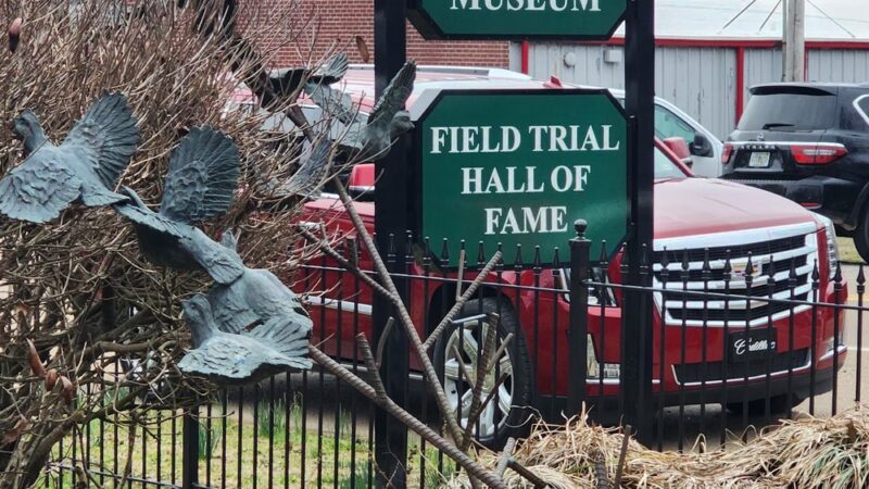 National Bird Dog Museum - Grand Junction, TN