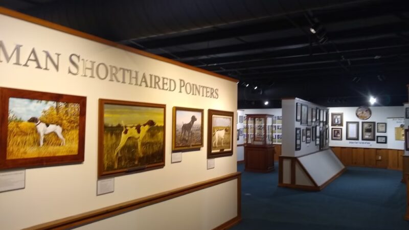 National Bird Dog Museum - Grand Junction, TN