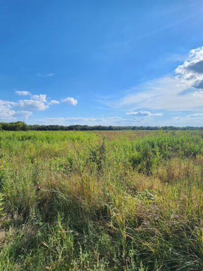 Barber Creek Wildlife Management Area - Grand Mound, IA