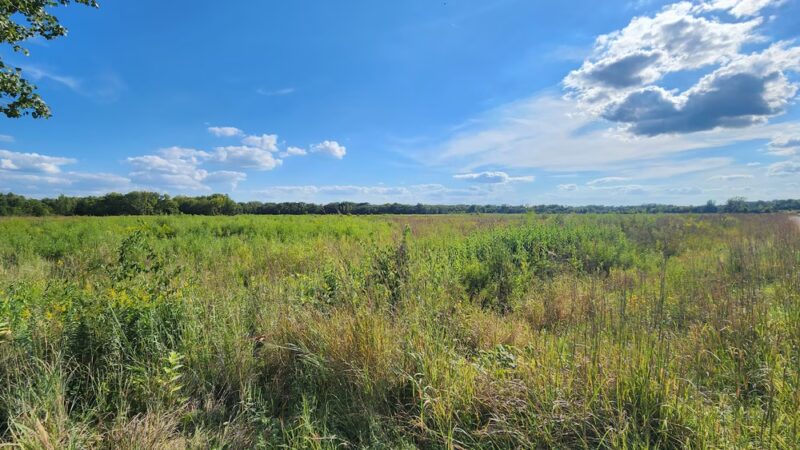 Barber Creek Wildlife Management Area - Grand Mound, IA