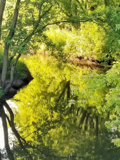 Barber Creek Wildlife Management Area - Grand Mound, IA