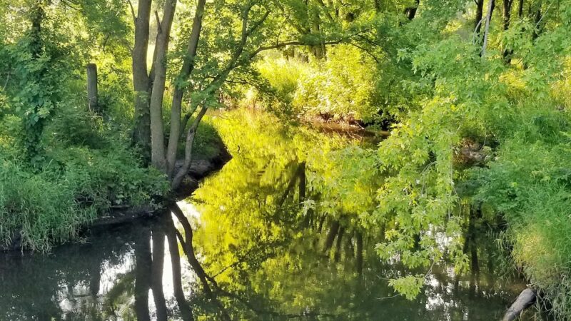 Barber Creek Wildlife Management Area - Grand Mound, IA