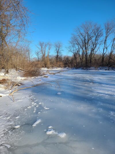 Barber Creek Wildlife Management Area - Grand Mound, IA