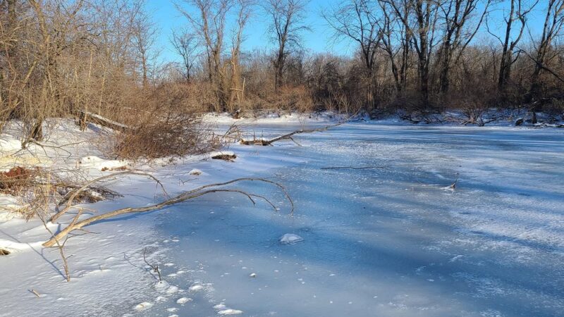 Barber Creek Wildlife Management Area - Grand Mound, IA