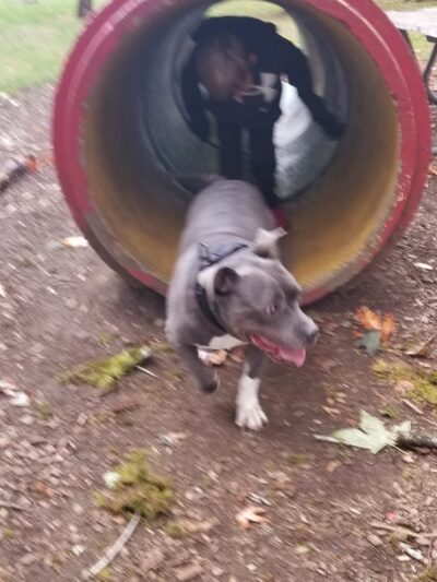 Ruff Life, LLC. - Grand Ronde, OR