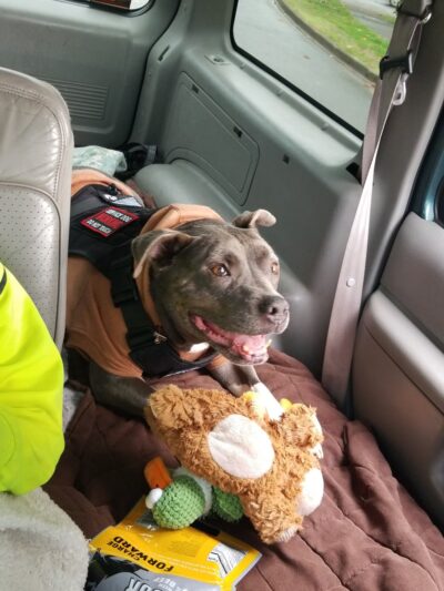 Ruff Life, LLC. - Grand Ronde, OR
