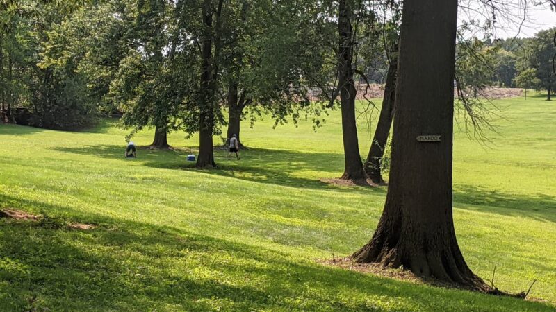 Grandview City Park - Grandview, IN