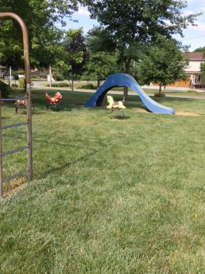 Academy Park - Grandview, IA