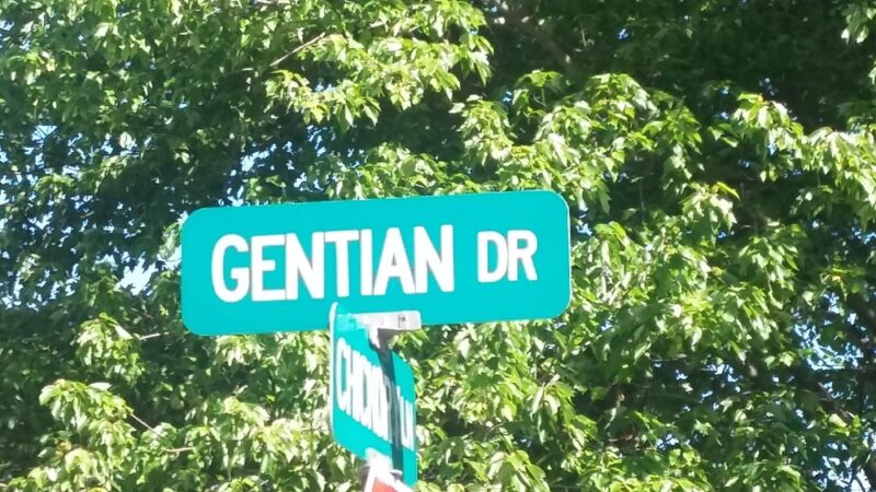 Klinedinst Park - Granger, IN