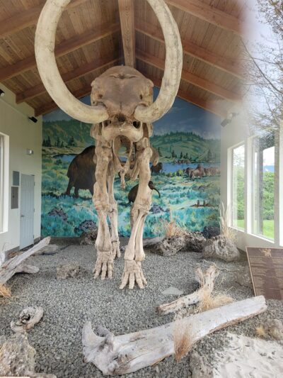 Eimers Park - Grangeville, ID