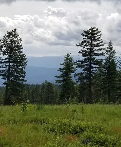 Fish Creek Campground - Grangeville, ID