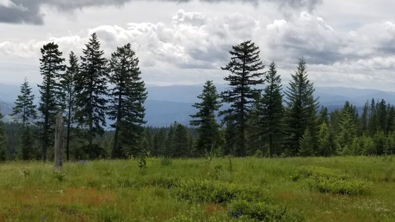 Fish Creek Campground - Grangeville, ID