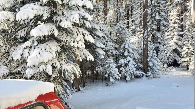 Fish Creek Campground - Grangeville, ID