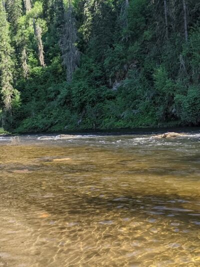 South Fork Campground - Grangeville, ID