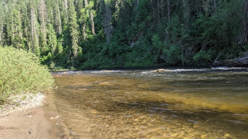 South Fork Campground - Grangeville, ID