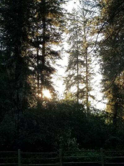South Fork Campground - Grangeville, ID