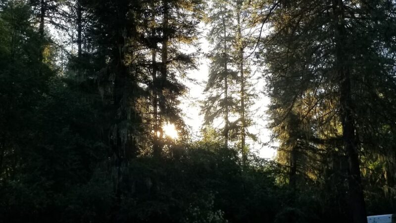 South Fork Campground - Grangeville, ID