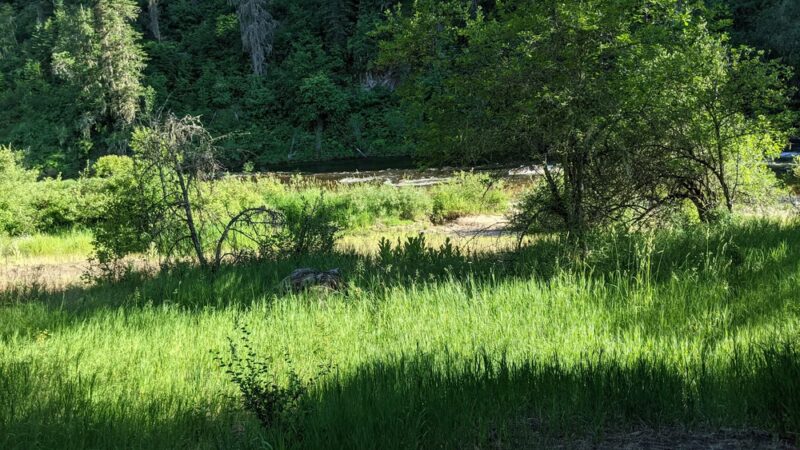 South Fork Campground - Grangeville, ID