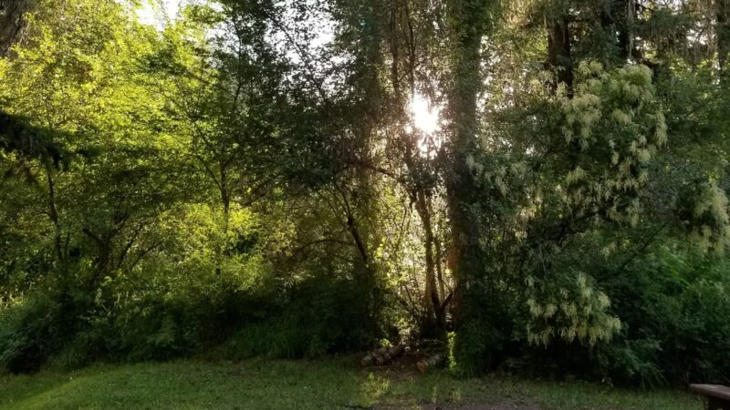 South Fork Campground - Grangeville, ID