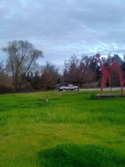 Granite Bay Community Park - Granite Bay, CA