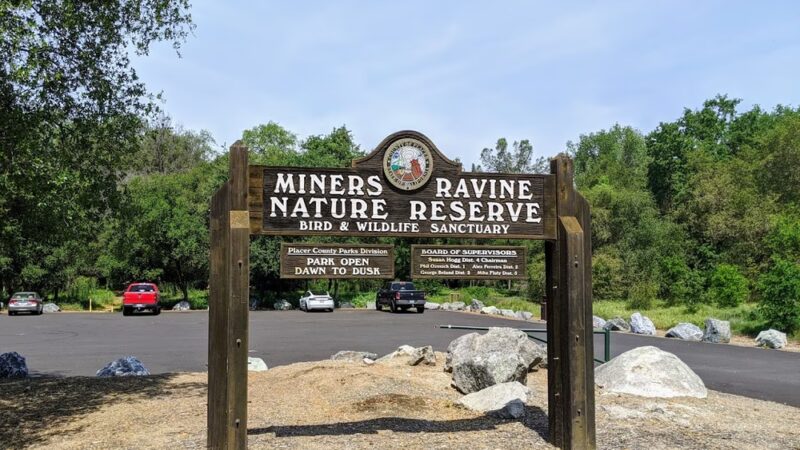 Miner's Ravine Nature Reserve - Granite Bay, CA