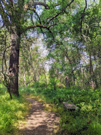 Miner's Ravine Nature Reserve - Granite Bay, CA