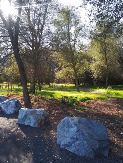 Miner's Ravine Nature Reserve - Granite Bay, CA