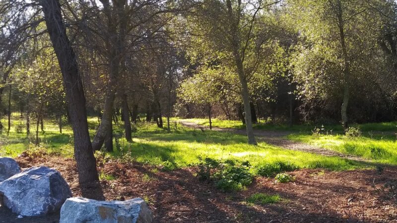 Miner's Ravine Nature Reserve - Granite Bay, CA