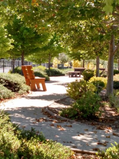 Ronald L. Feist Park - Granite Bay, CA