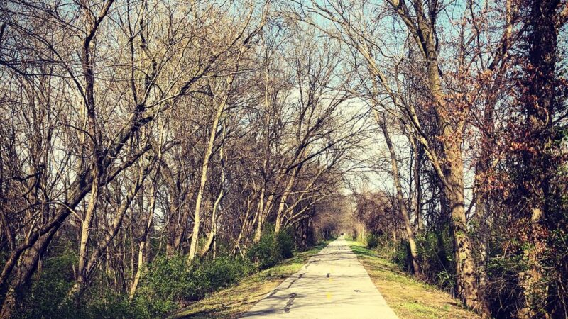 Madison County Transit Nature Trail - Granite City, IL