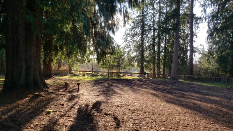 Granite Falls Dog Park - Granite Falls, WA