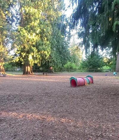 Granite Falls Dog Park - Granite Falls, WA