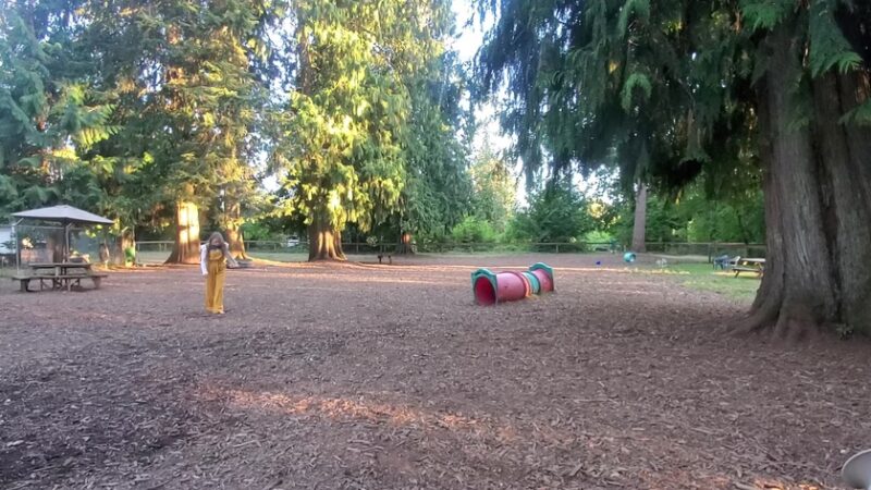 Granite Falls Dog Park - Granite Falls, WA