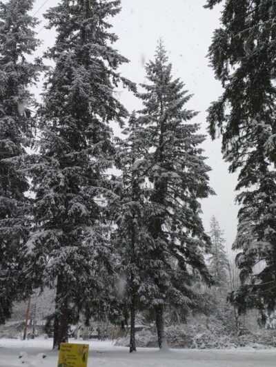 Granite Falls Dog Park - Granite Falls, WA