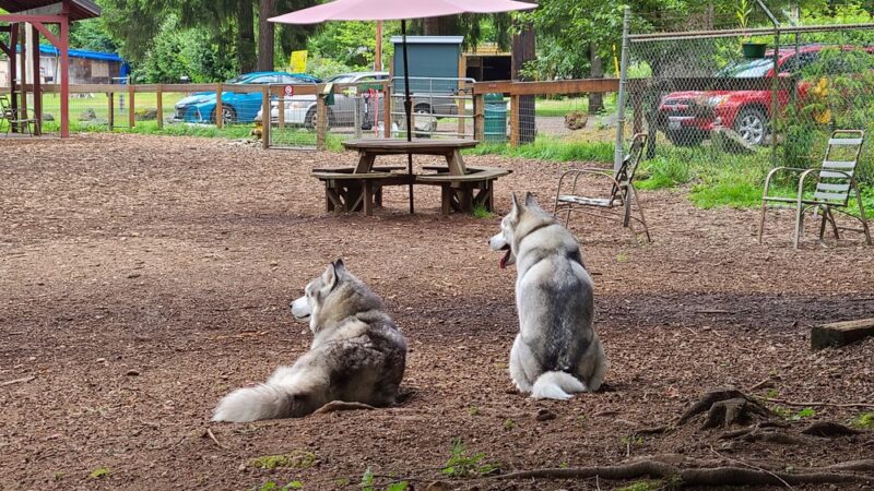 Granite Falls Dog Park - Granite Falls, WA