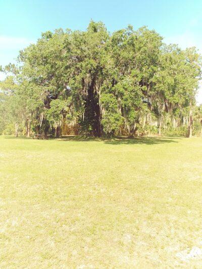 Grant-Valkaria Community Park - Grant-Valkaria, FL