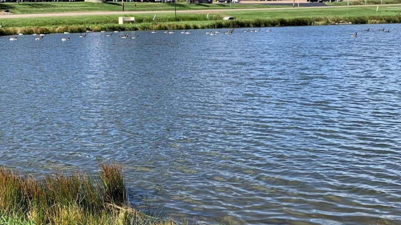 Granton Community Park - Granton, WI