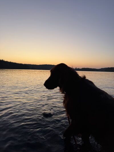 Tolland Campsite #79 - Granville, MA