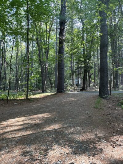 Tolland Campsite #79 - Granville, MA