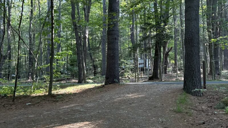 Tolland Campsite #79 - Granville, MA