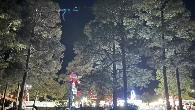 Grapeland City Park - Grapeland, TX