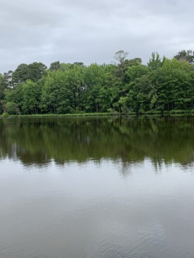 Ewing Pond Park - Grasonville, MD