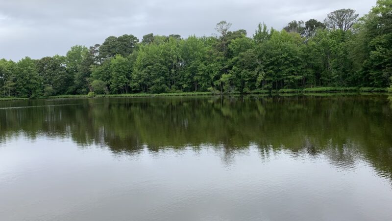 Ewing Pond Park - Grasonville, MD