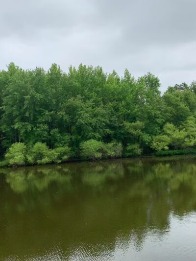 Ewing Pond Park - Grasonville, MD