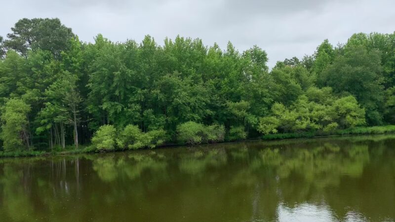 Ewing Pond Park - Grasonville, MD