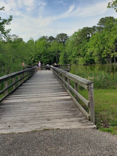 Ewing Pond Park - Grasonville, MD