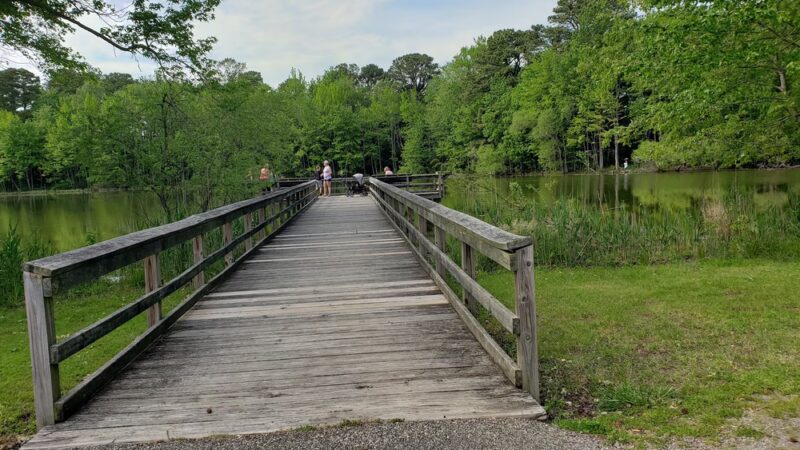 Ewing Pond Park - Grasonville, MD