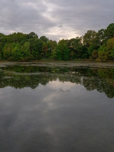 Ewing Pond Park - Grasonville, MD