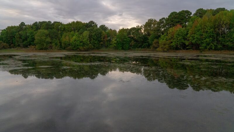 Ewing Pond Park - Grasonville, MD